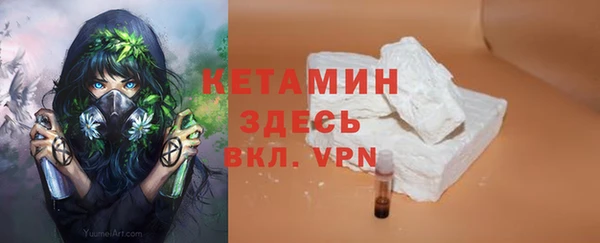 прущие грибы Беломорск