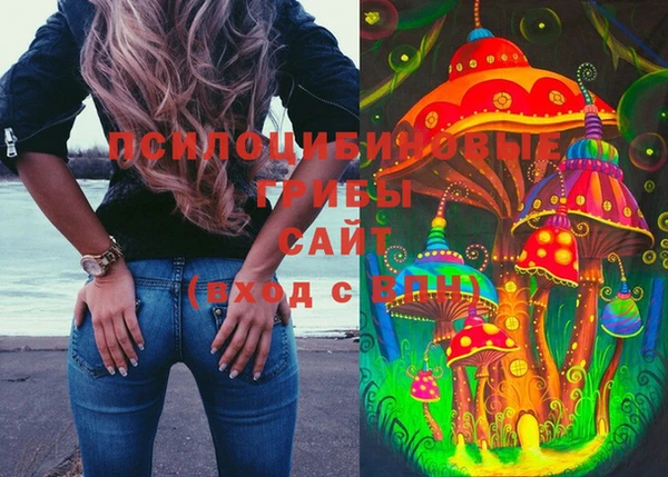 соль ск Сясьстрой