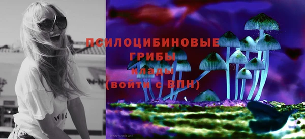 прущие грибы Беломорск