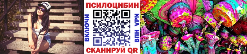 Псилоцибиновые грибы Psilocybe  МЕГА ссылки  Кувандык  купить наркотики сайты 